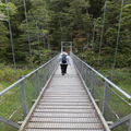 Swing Bridge, Routeburn Track