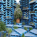 Christmas Tree in the Pallet Pavilion