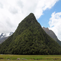 Routeburn Flats