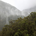 Misty Waterfalls