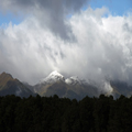 New Summer Snowfall