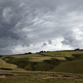 Hay Fields at Slope Point