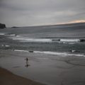 Surfer at St. Clair Beach, Dunedin