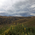 Otago Highlands