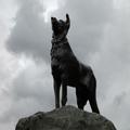 Monument to the Border Collie