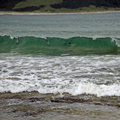 Riding the Wave