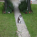 Niagra Cafe Greeter