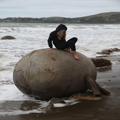 Taking a Turn on a Moeraki Boulder