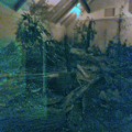 Male Kiwi, Foraging in Nocturnal House