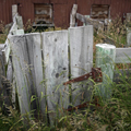 Gate, Quailburn Woolshed