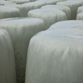 Hay, Bales
