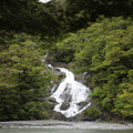 Fantail Falls