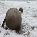Moeraki Boulders at High Tide