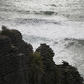 Pancake Rocks, Plants and Waves