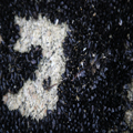 Mussels on Stone