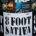 8 Feet High