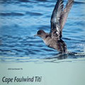It Prefers 'Sooty Shearwater'