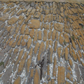 Lighthouse Cobbles