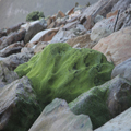 Mossy Boulder